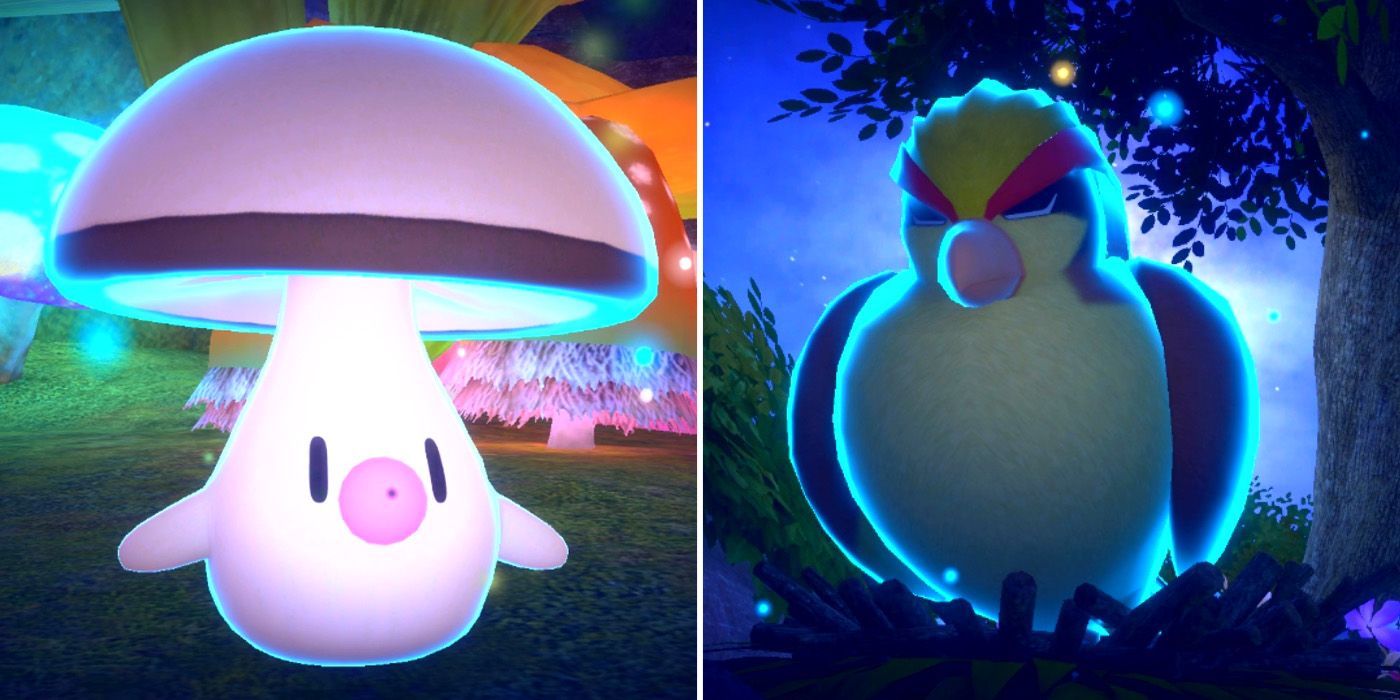 Nouvo Pokemon Snap sekrè Side Path Night Foongus Pidgeot