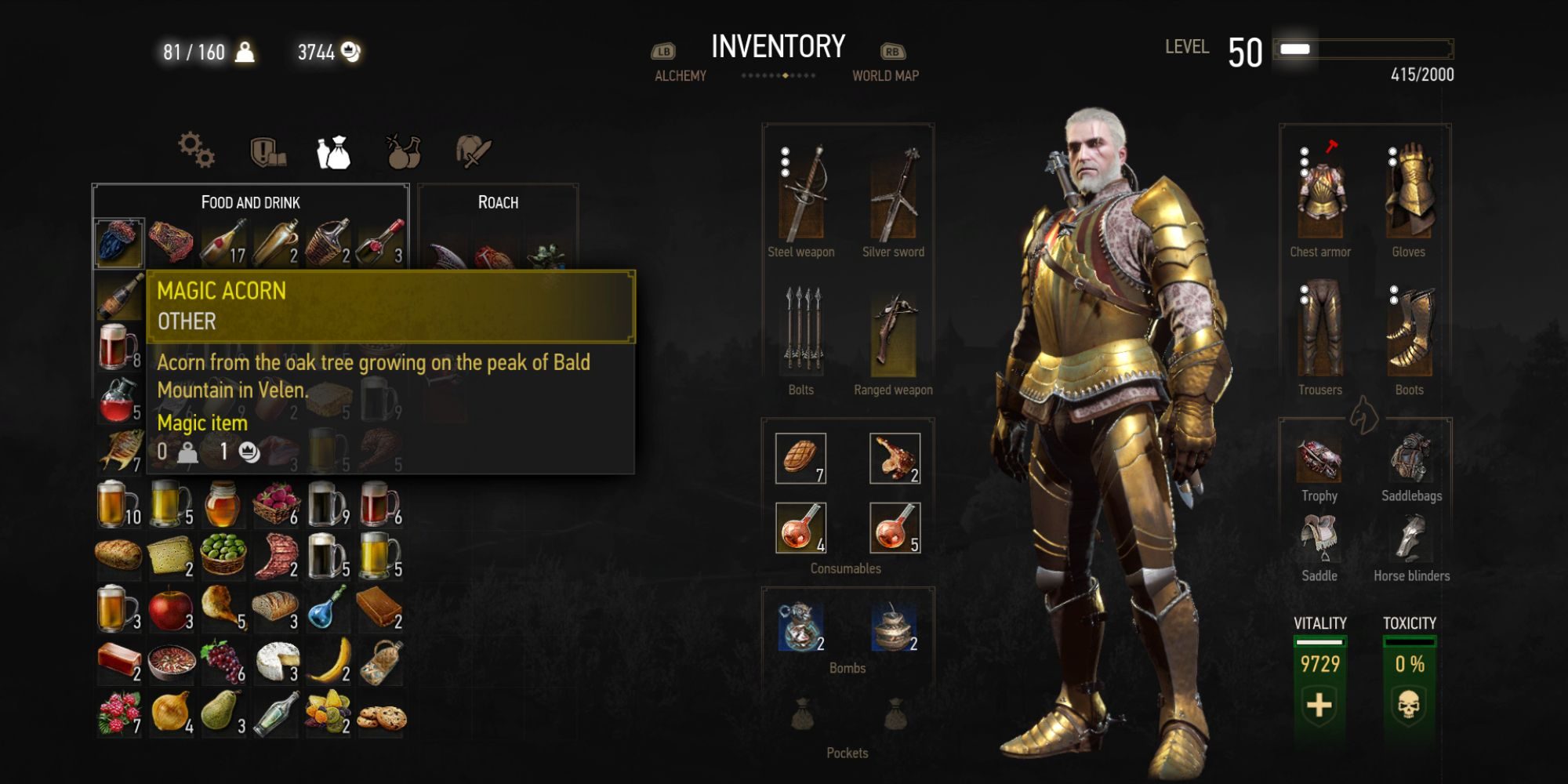 the-witcher-3-magic-acorn-in-inventory-4013898