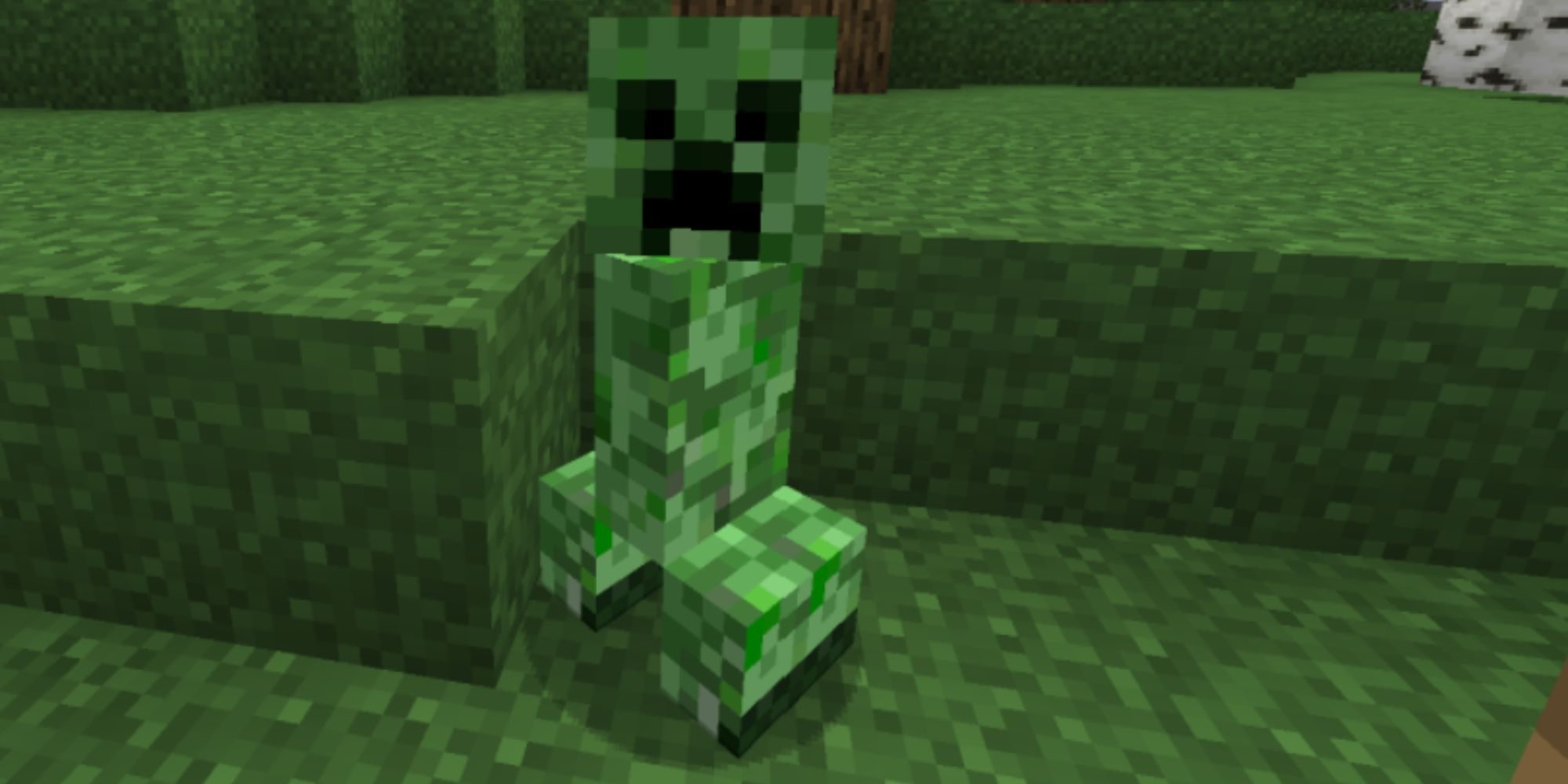 minecraft_creeper_enmy_in_forest-4438131