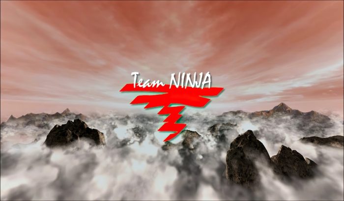 Logotip de Team Ninja HD 700x409.jpg