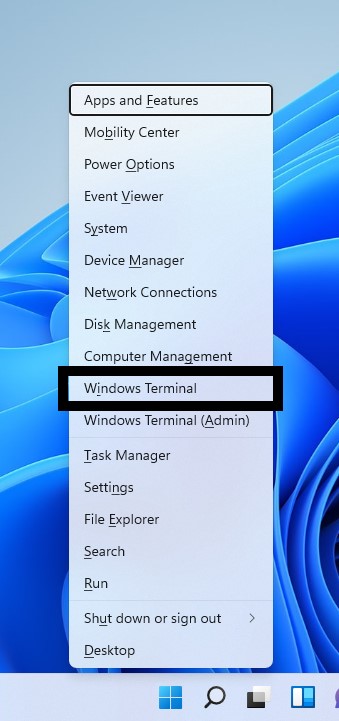 Enter UEFI Windows 11