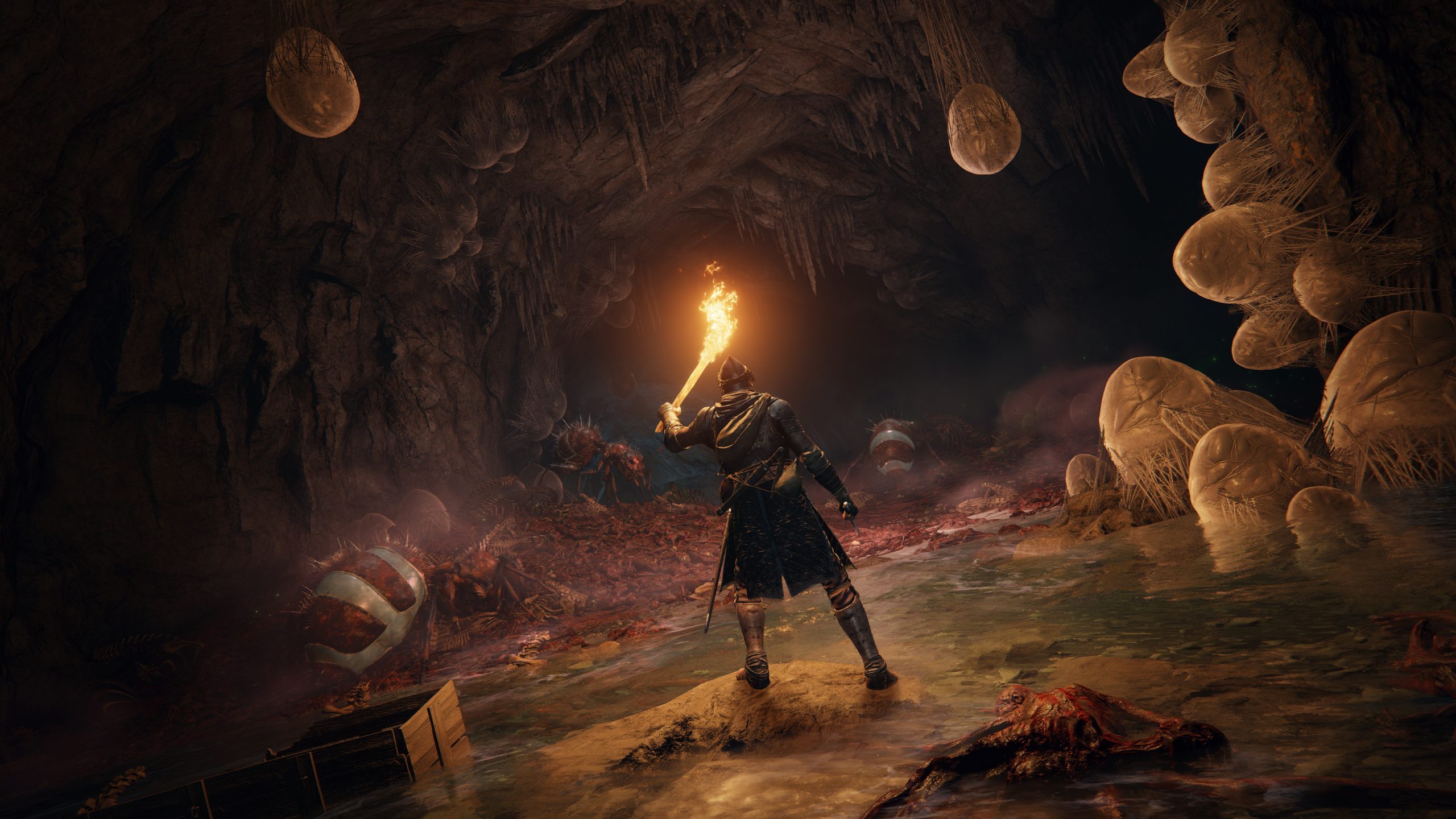 A still from the Elden Ring game showing a figure in a dark cave, holding aloft a burning torch for light