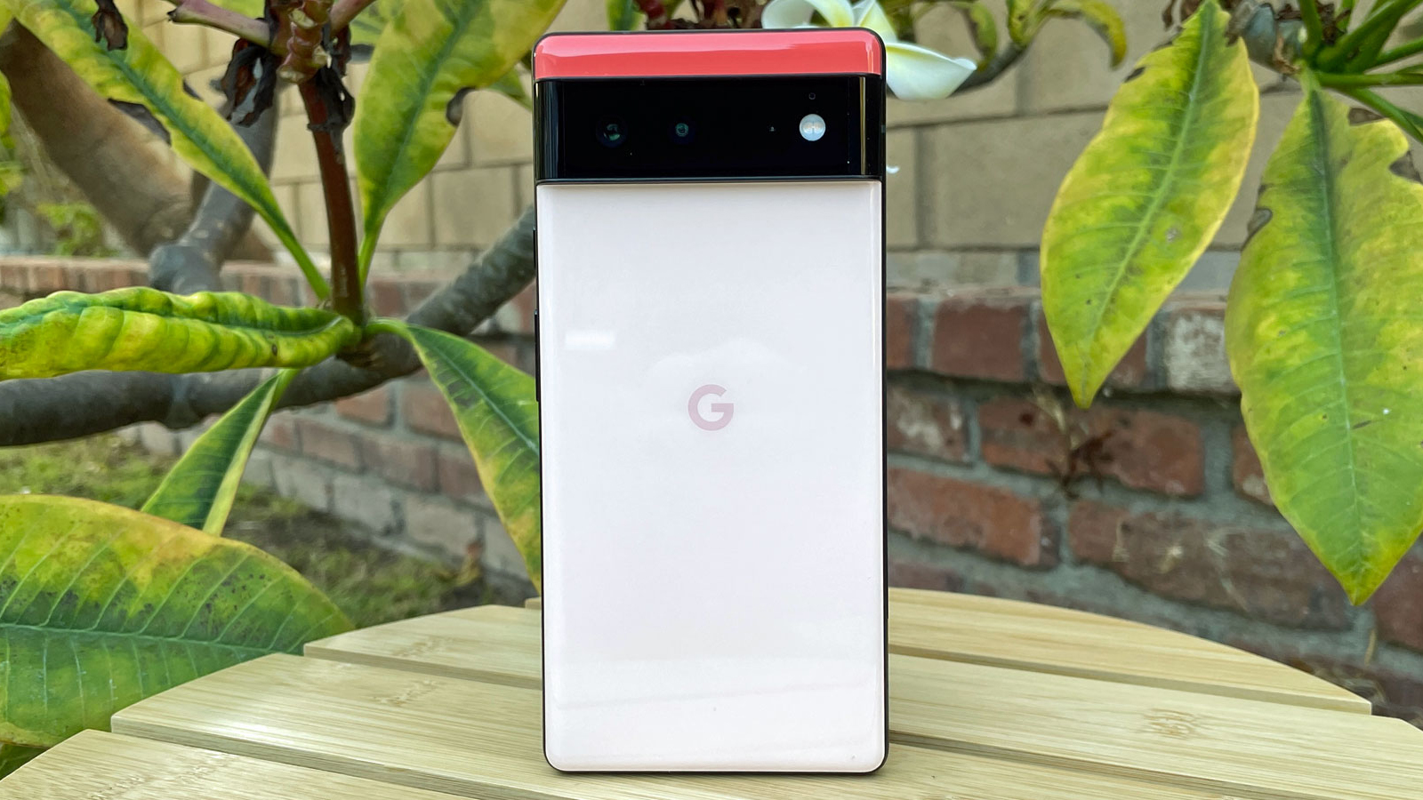 O Google Pixel 6 mirando cara atrás da cámara, ergueuse sobre unha mesa.