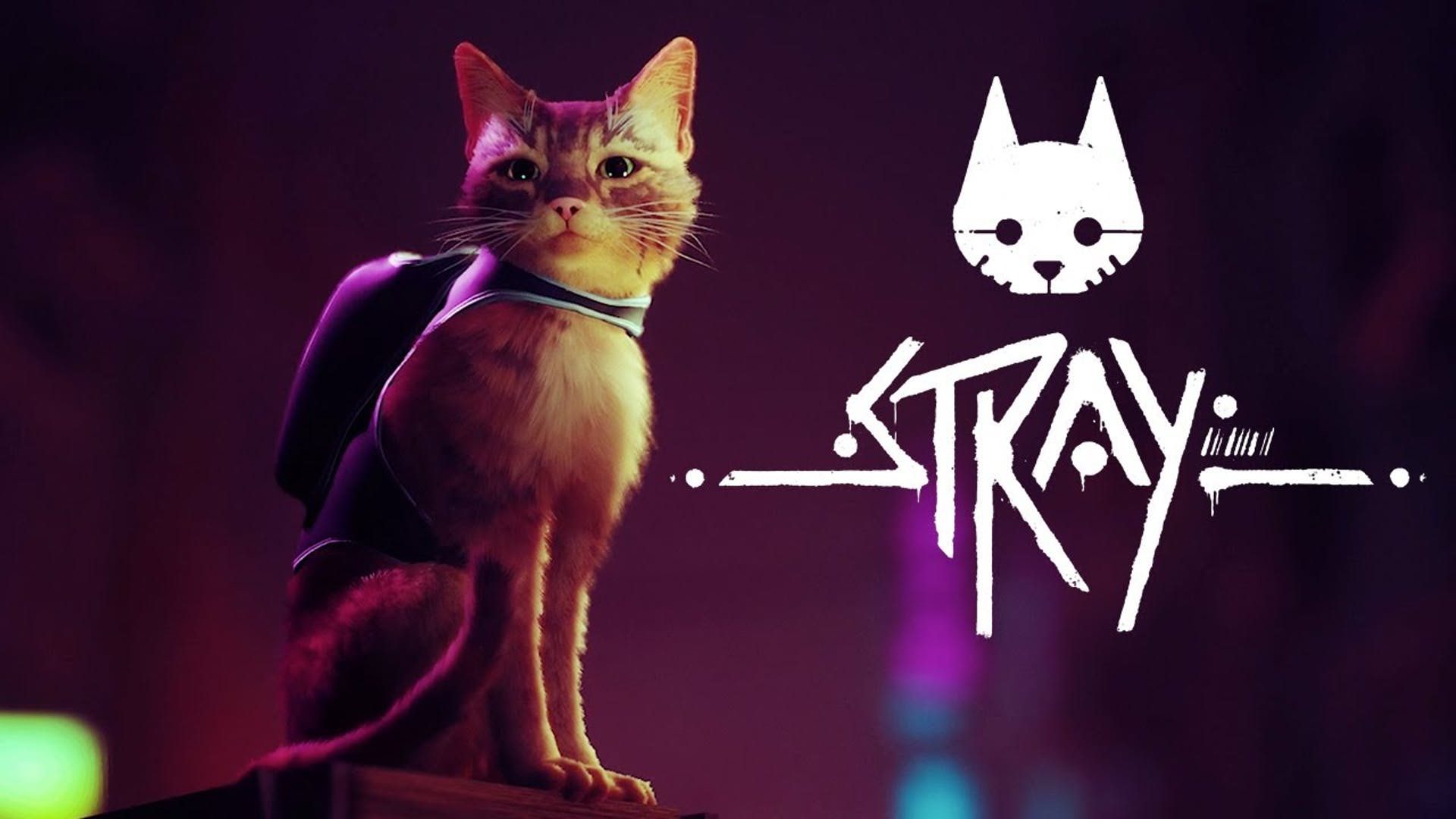 stray-game-2603248