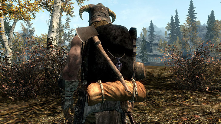 The Elder Scrolls view of a character walking in the woods