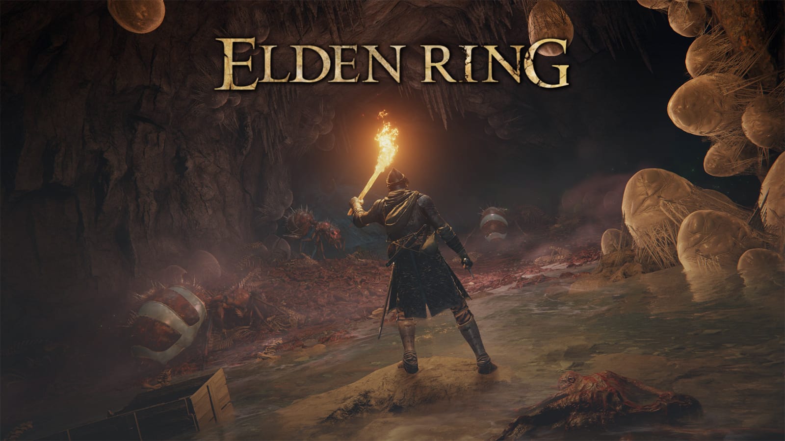 Seomraí Hidden Elden Ring