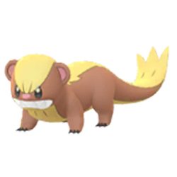 pokemon-go-yungoos-9773979