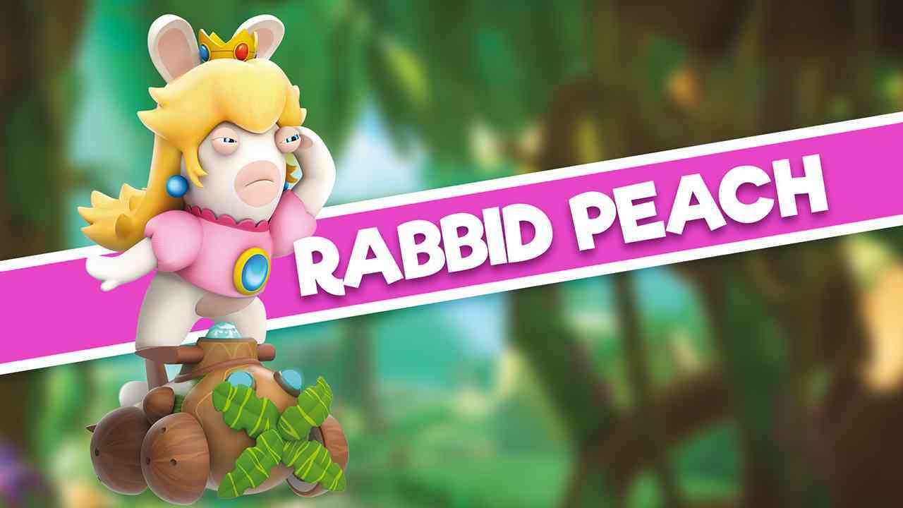 video-games-with-badass-bunnies-3-5789983