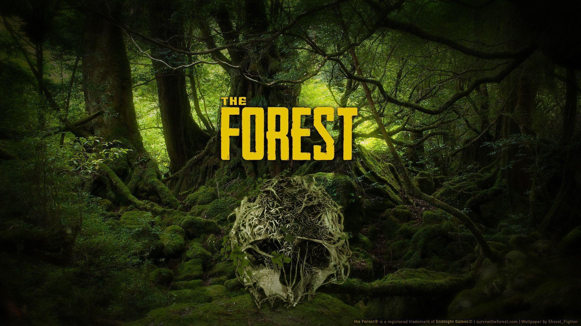 The Forest Game Պաստառներ - Պաստառ քարանձավ