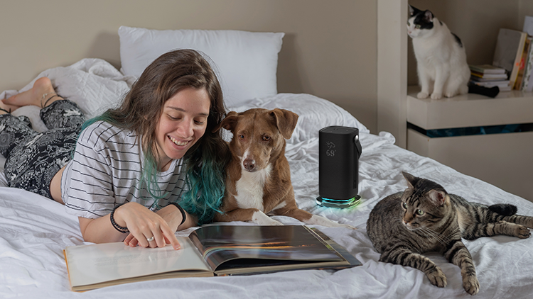 אישה צעירה קוראת על מיטה עם כלב ושני חתולים ליד רמקול ה-Acer Halo Swing.