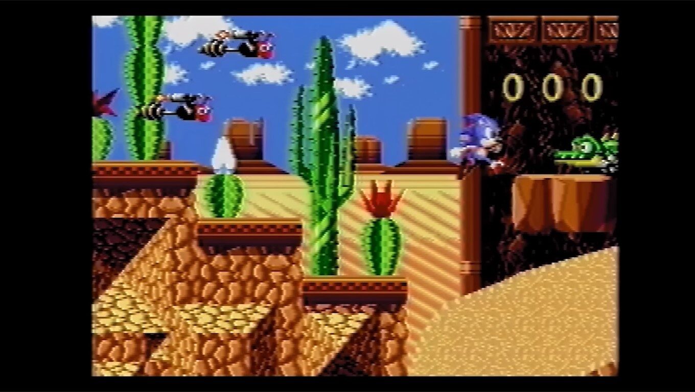 Sonic The Hedgehog 2 lost level