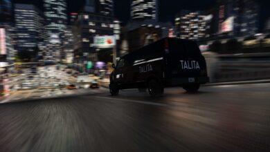 „GTA 5“ modifikacijos tikslas – didinti informuotumą apie prekybą seksu, pasakojant aukų istorijas